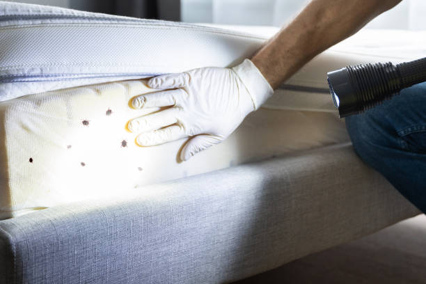 Seatac, WA Pest Control Company